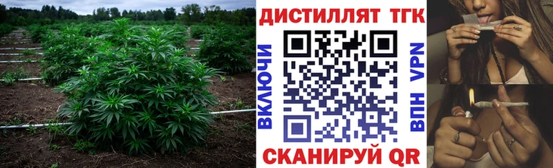 Дистиллят ТГК вейп  Купить  Истра 