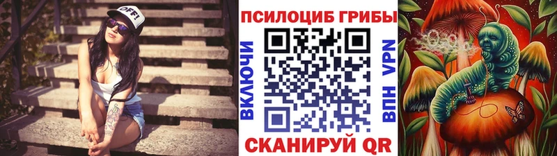 Купить где  Истра  Псилоцибиновые грибы GOLDEN TEACHER 