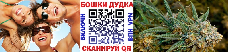 Купить где  Истра  Конопля планчик 